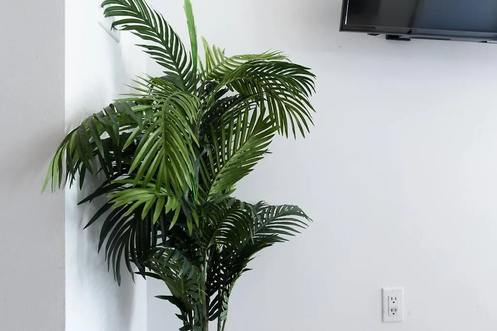 Apartment 24-16 Studio Gramercy W D Gramercy New York United States